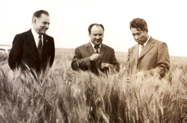 6к78678.jpg