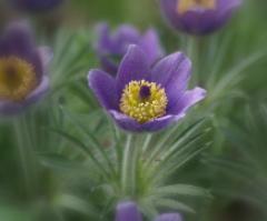 Фотогалерея