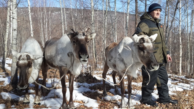 Тофалария. Русин Сергей Николаевич 45.jpg